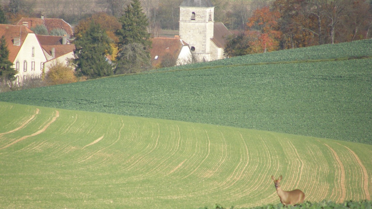 Photo of Others in Cirfontaines-en-Azois