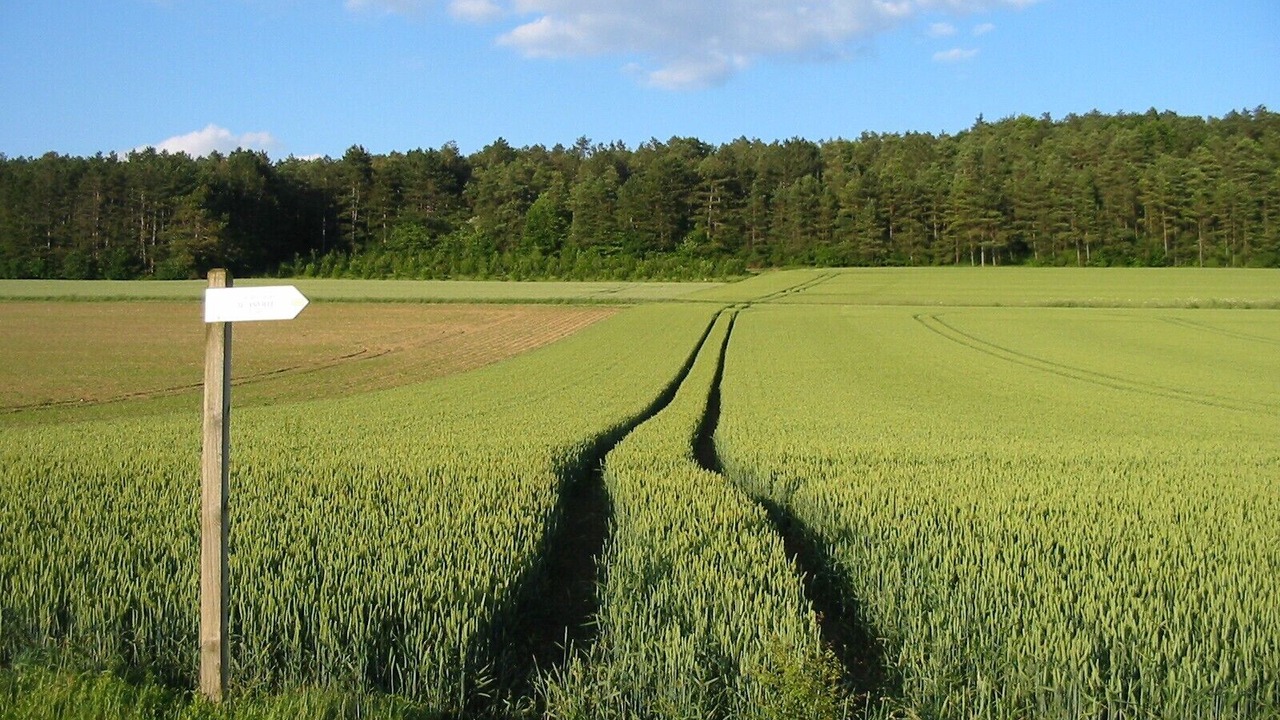 Photo of Others in Cirfontaines-en-Azois