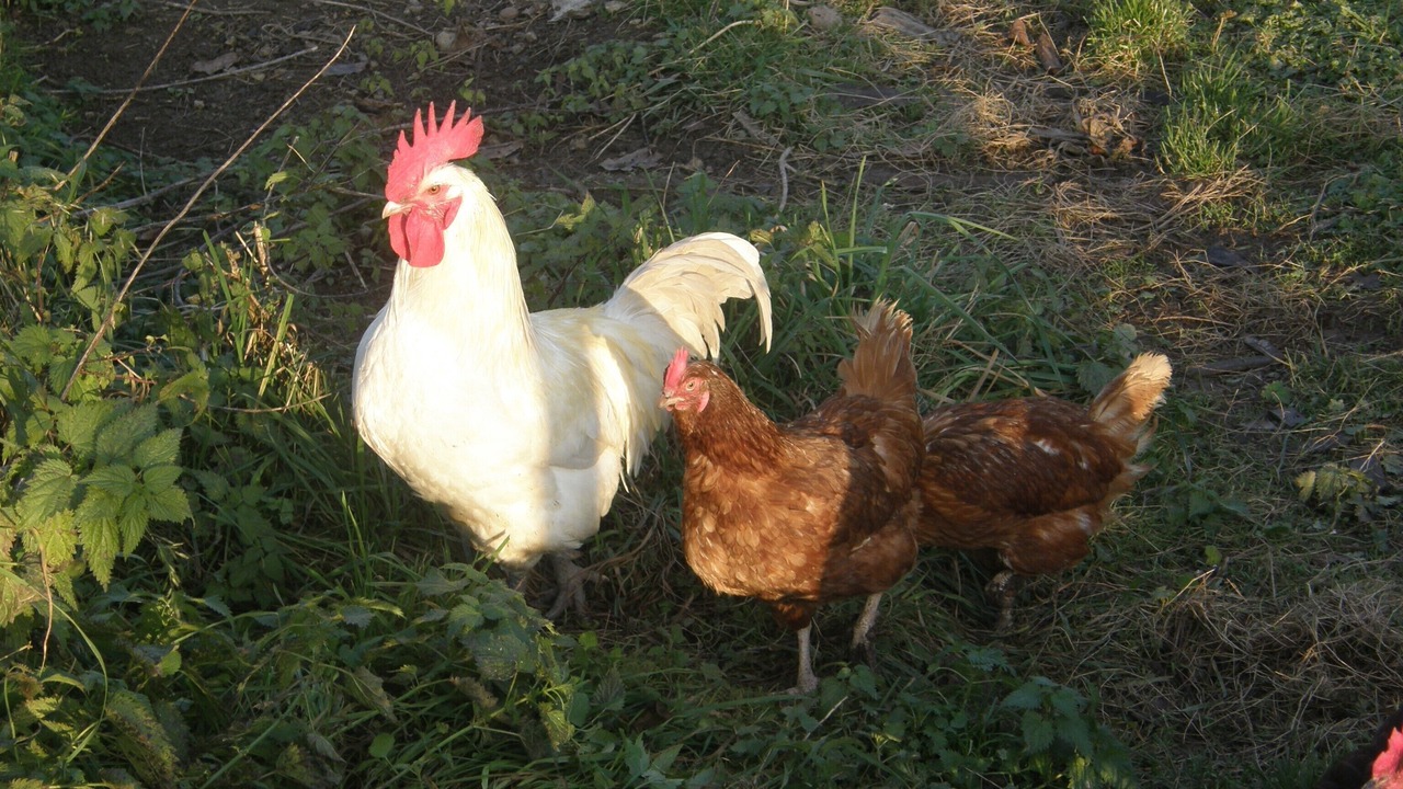 Photo of Others in Cirfontaines-en-Azois