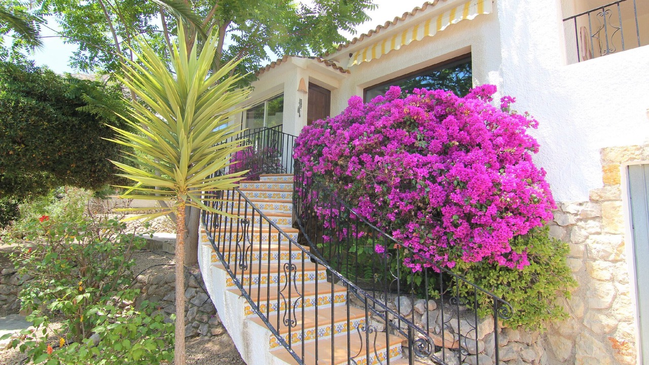 Photo of Others in Calpe