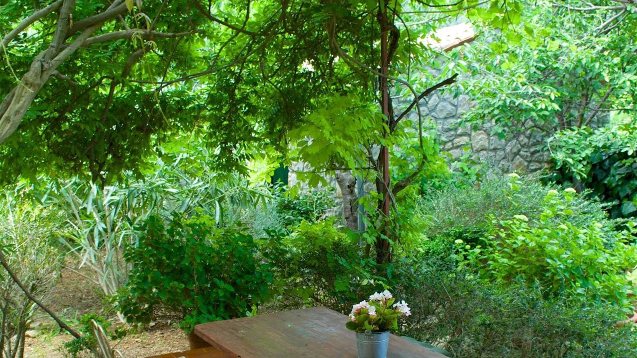 Photo of Outdoor in Veli Losinj