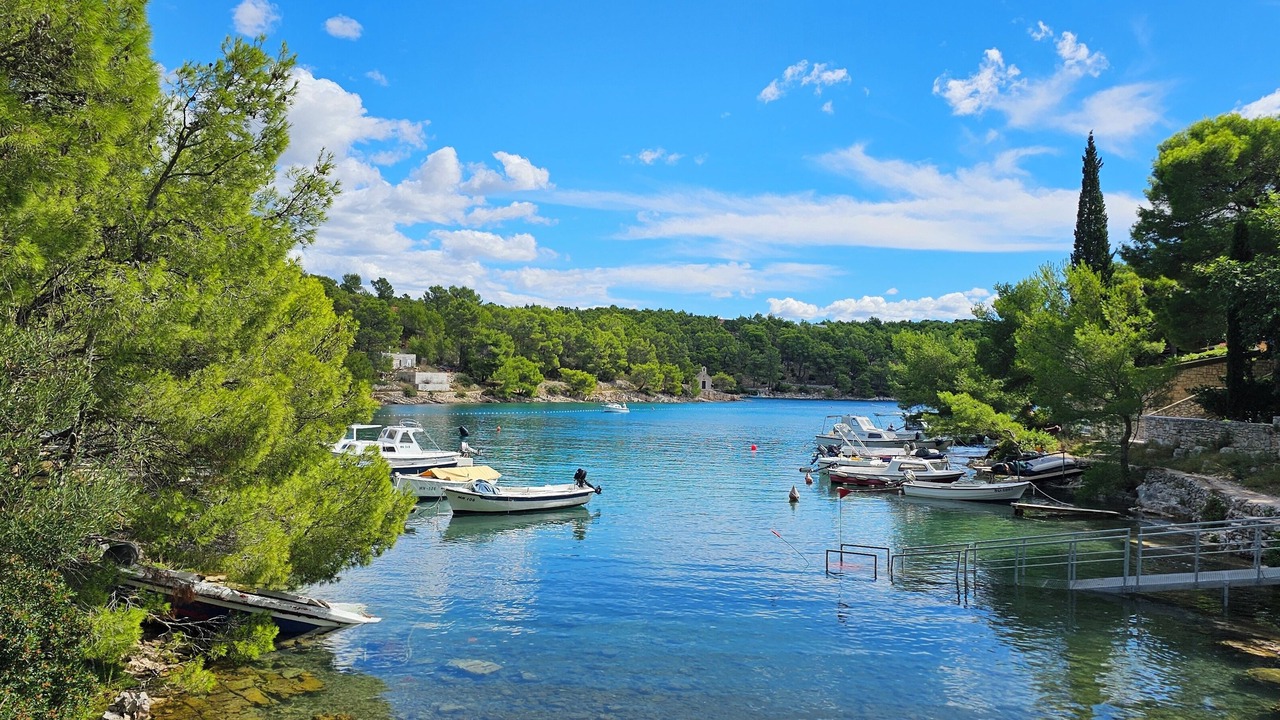 Photo of Others in Cove Osibova (Milna)