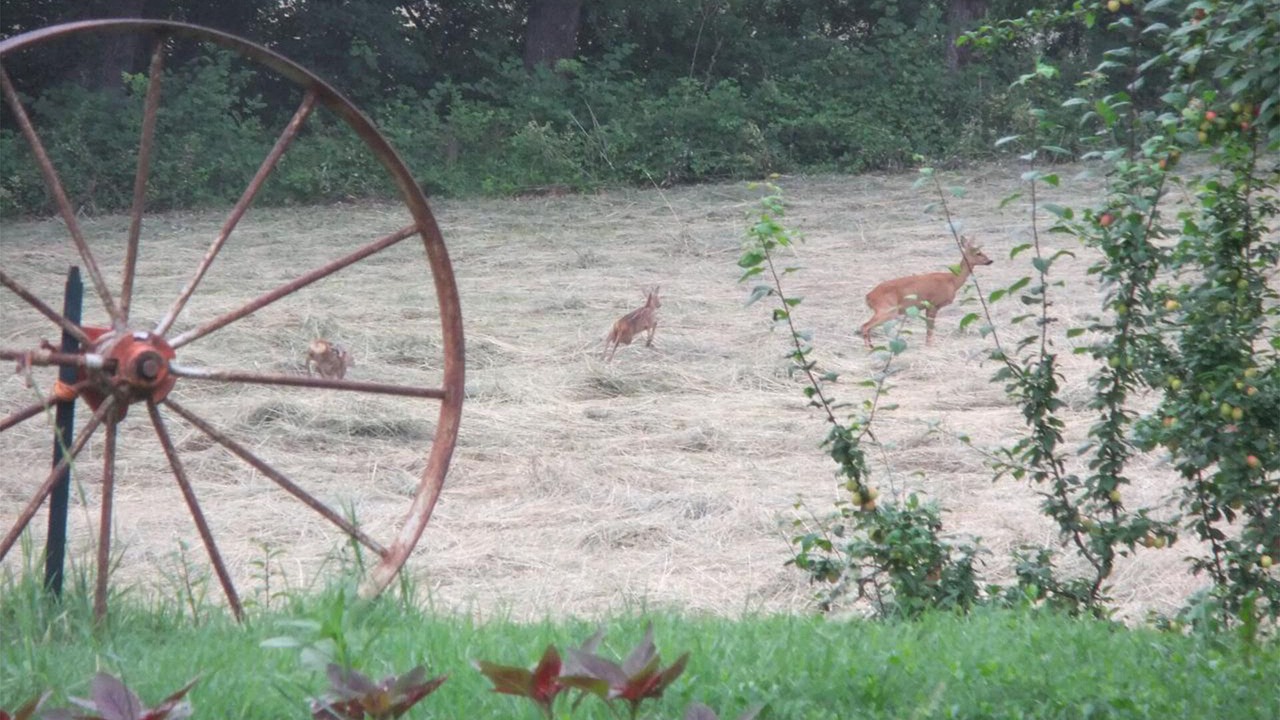 Photo of Outdoor in Bouloc