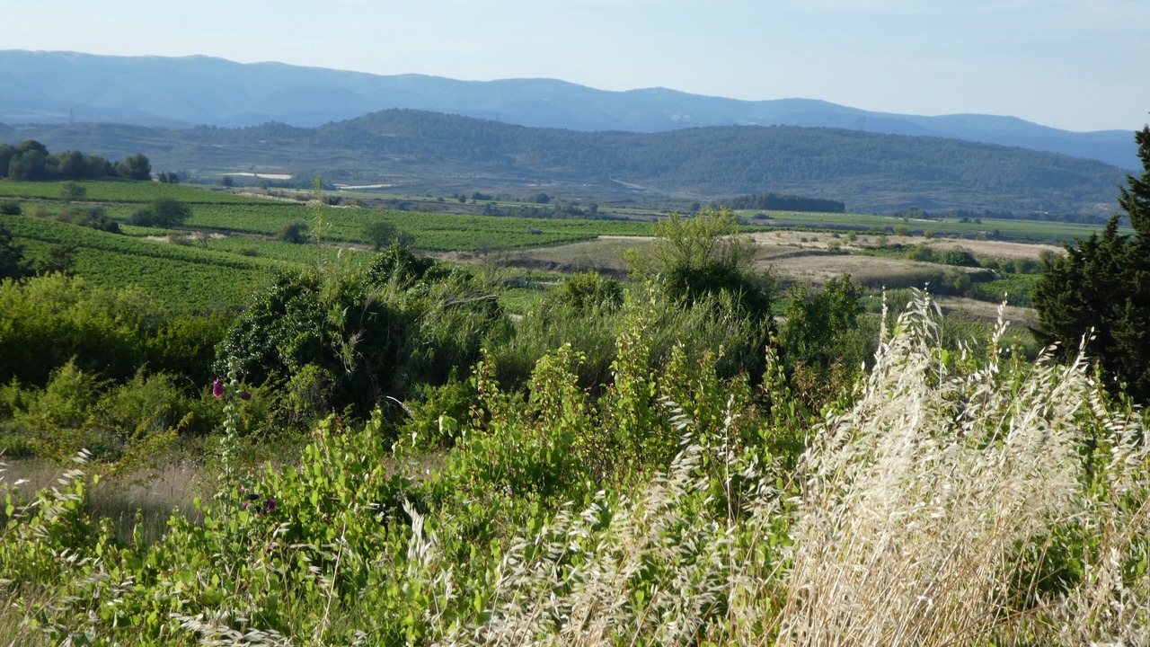 Photo of Outdoor in Ginestas