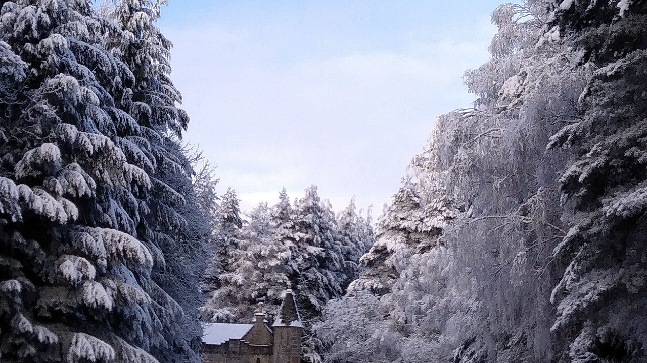 Photo of Others in Boat of Garten