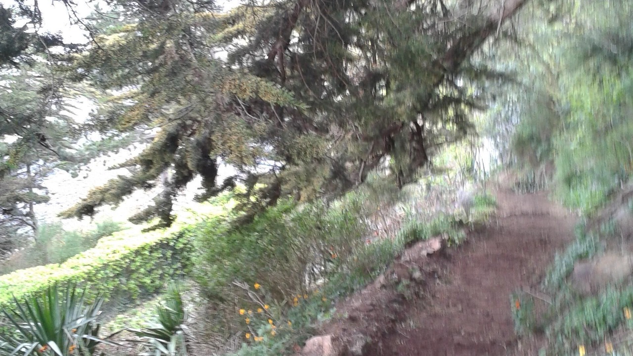 Photo of Outdoor in Champeaux