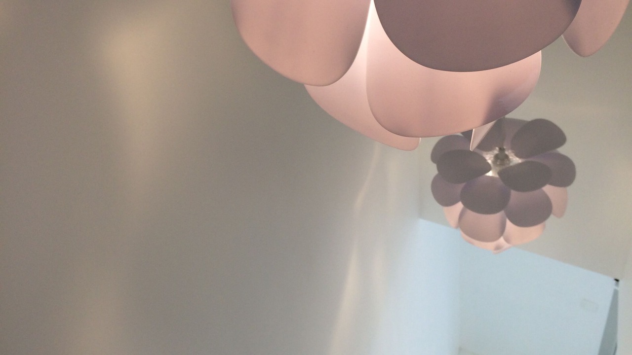 Photo of Others in Jard-sur-Mer