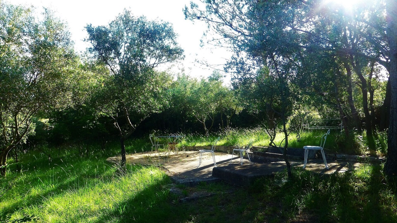 Photo of Outdoor in Souvignargues