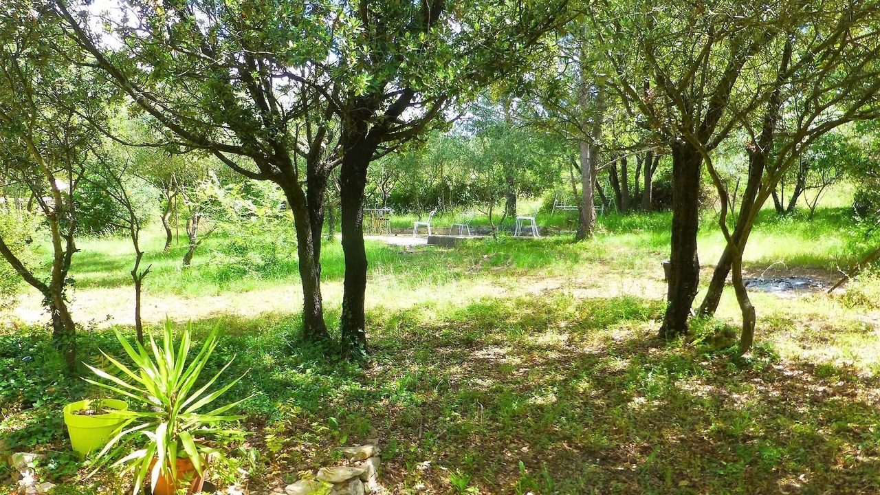 Photo of Outdoor in Souvignargues