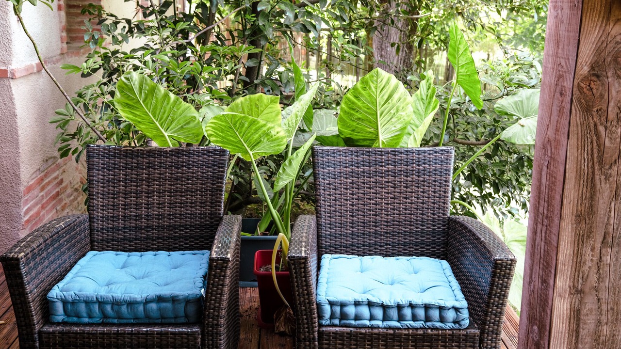 Photo of Outdoor in Mirabel