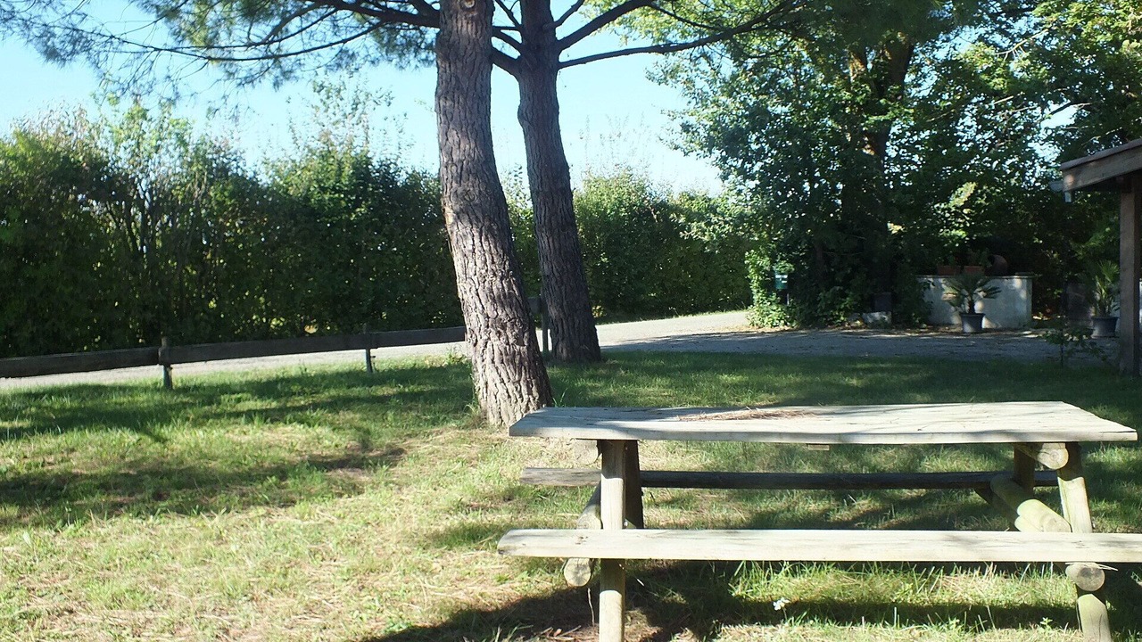 Photo of Outdoor in Mirabel