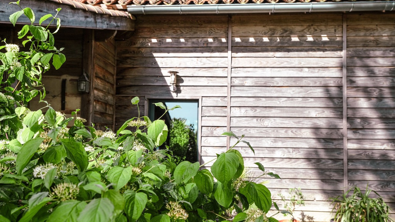 Photo of Outdoor in Mirabel