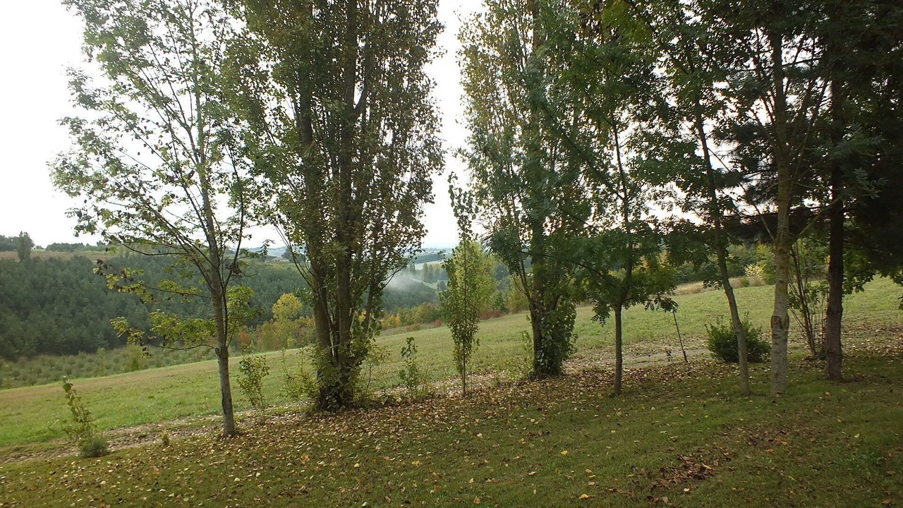 Photo of Outdoor in Mirabel
