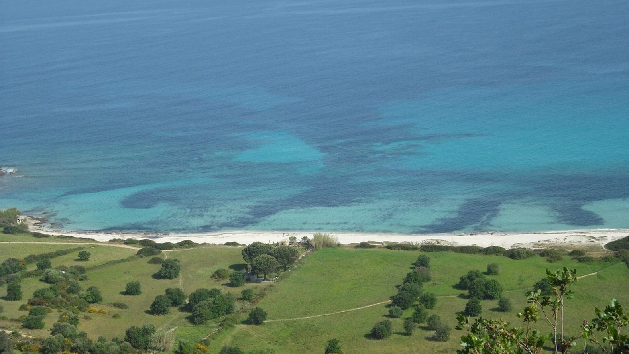 Photo of Outdoor in Corbara