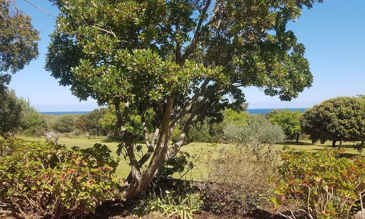 Photo of Outdoor in Corbara