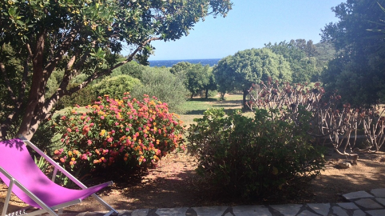 Photo of Outdoor in Corbara