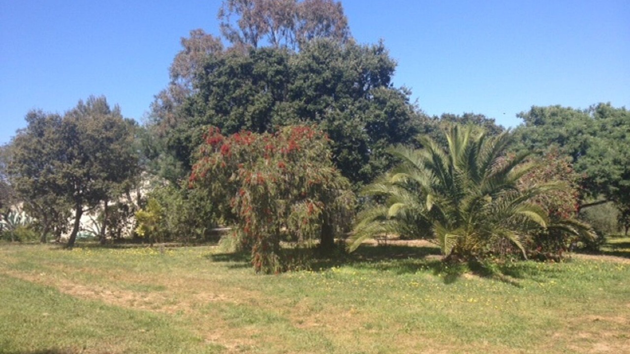 Photo of Outdoor in Corbara