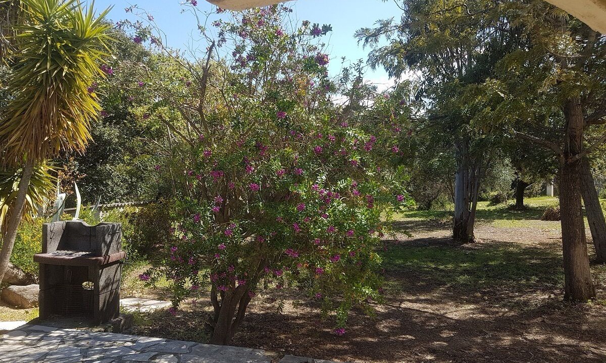 Photo of Outdoor in Corbara