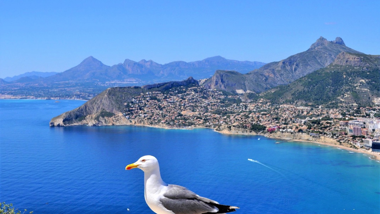 Photo of Others in Calpe