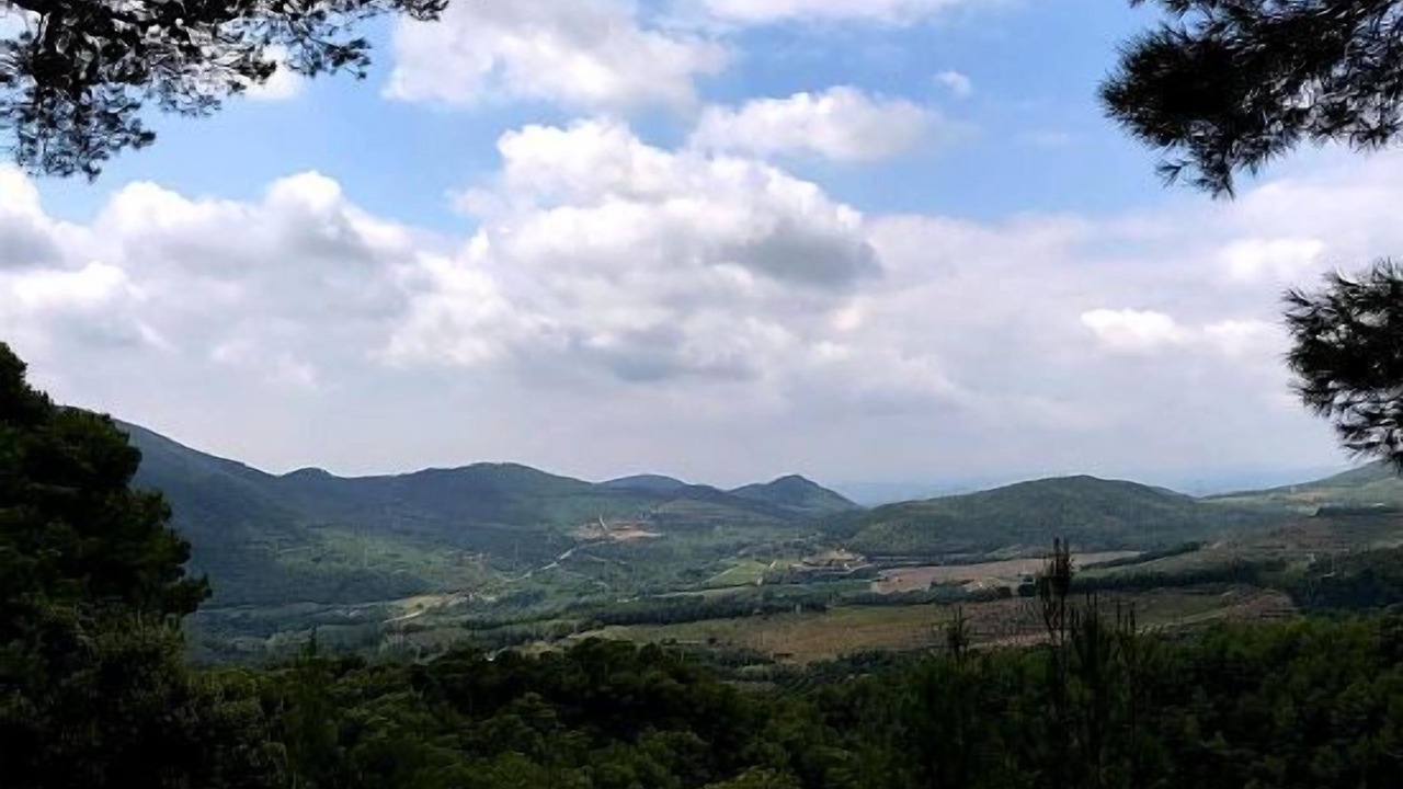 Photo of Others in La Selva del Camp