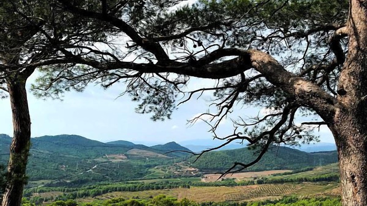 Photo of Outdoor in La Selva del Camp