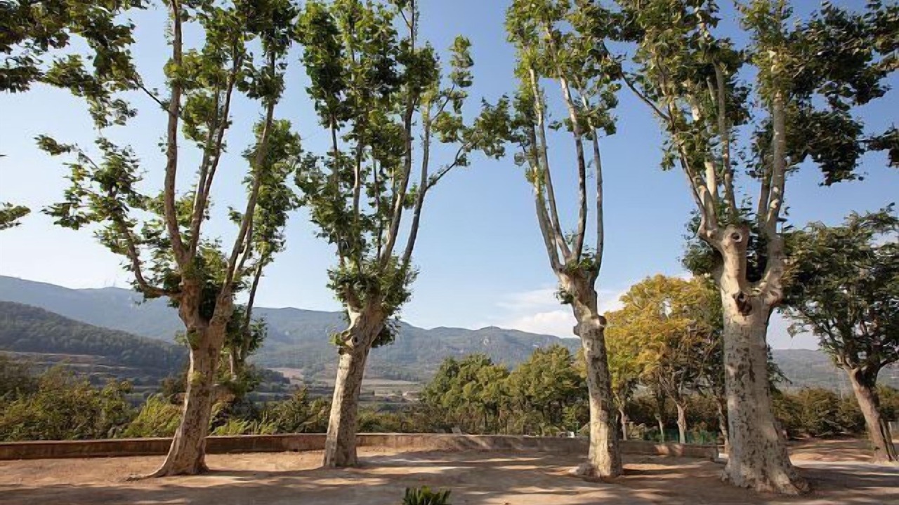 Photo of Outdoor in La Selva del Camp