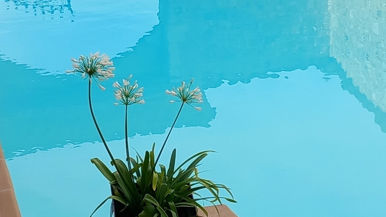 Photo of Outdoor in Cahuzac-sur-Vere