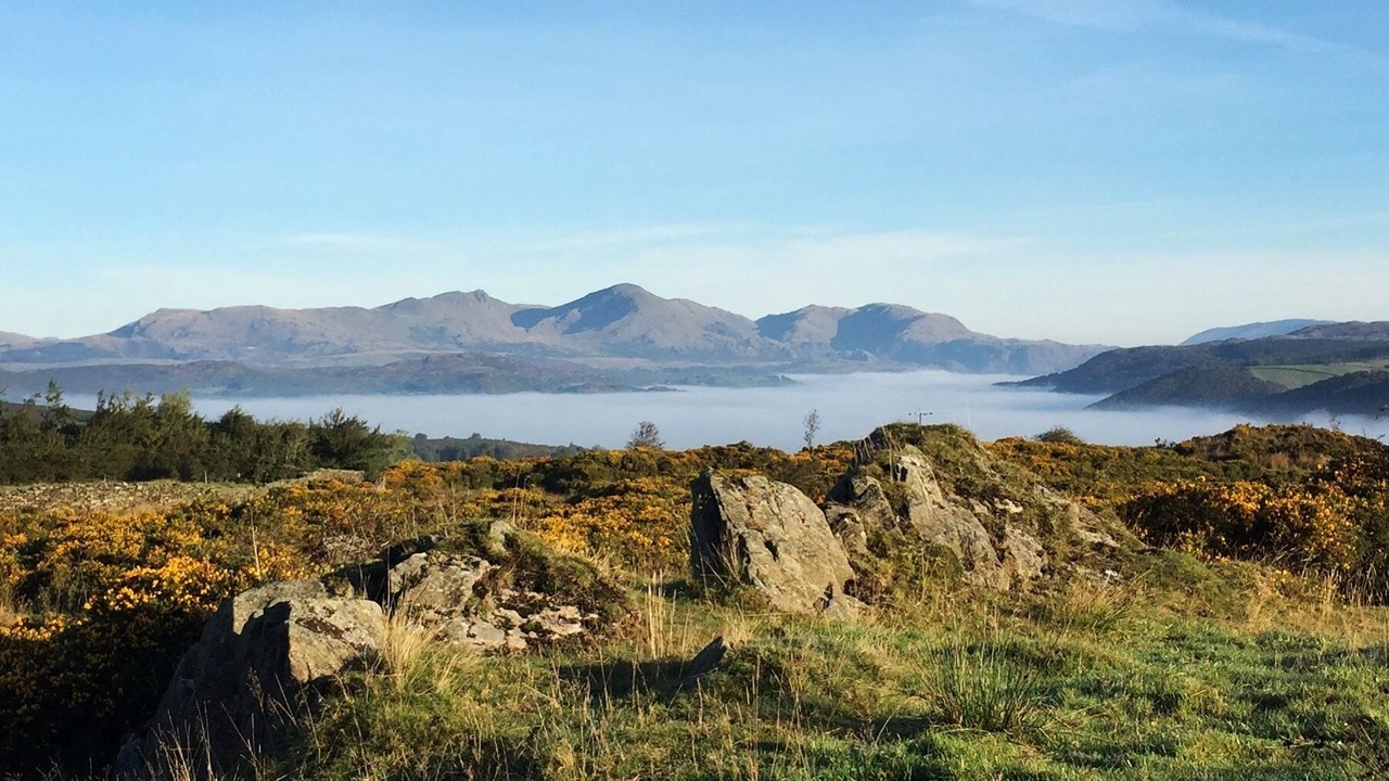 Photo of Others in Penny Bridge