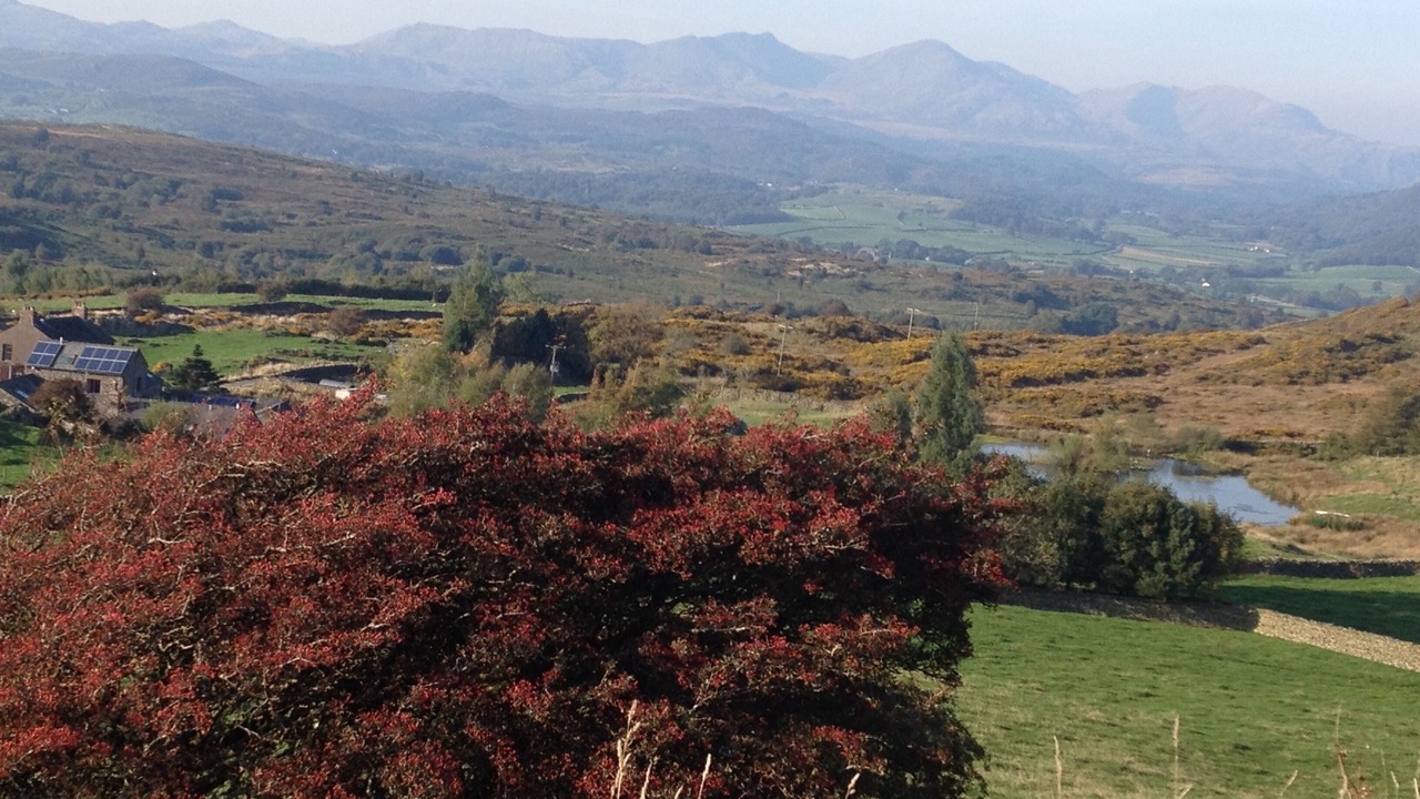 Photo of Others in Penny Bridge