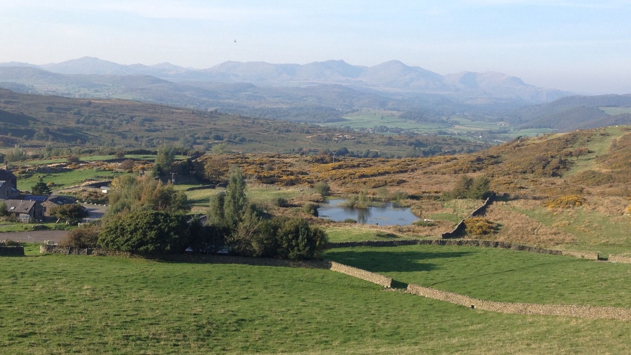 Photo of Others in Penny Bridge