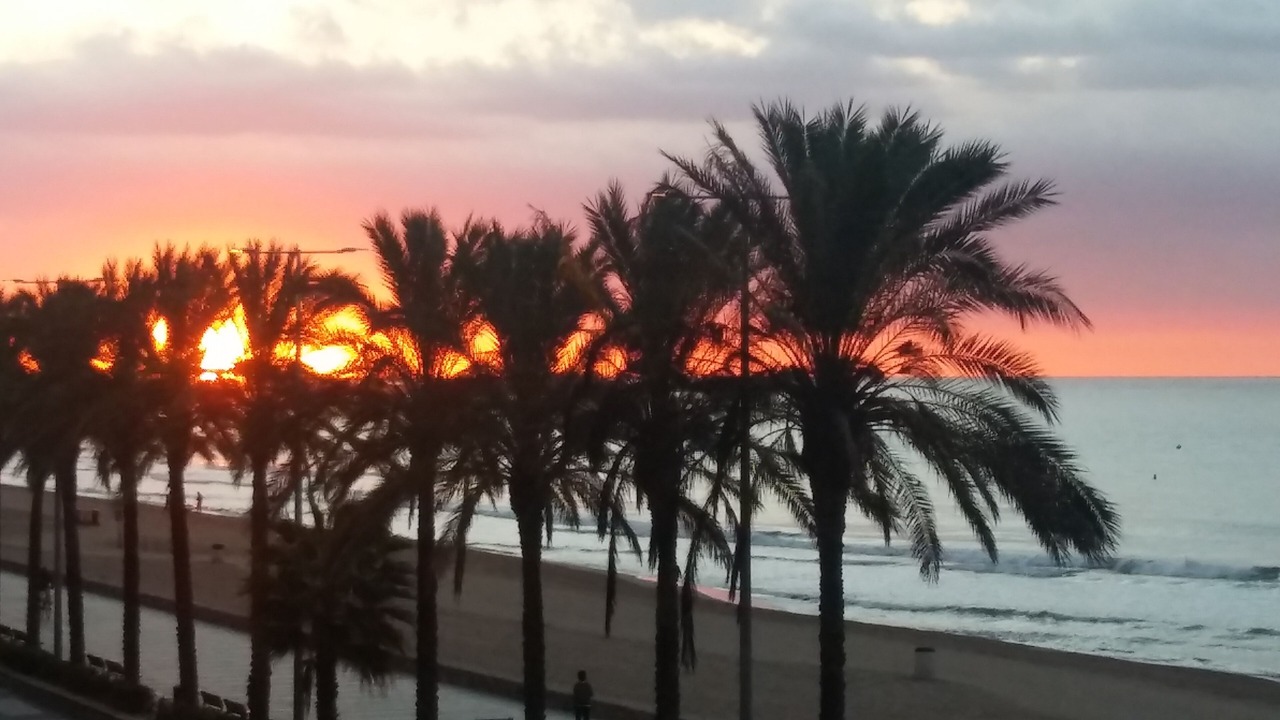 Photo of Others in Calafell