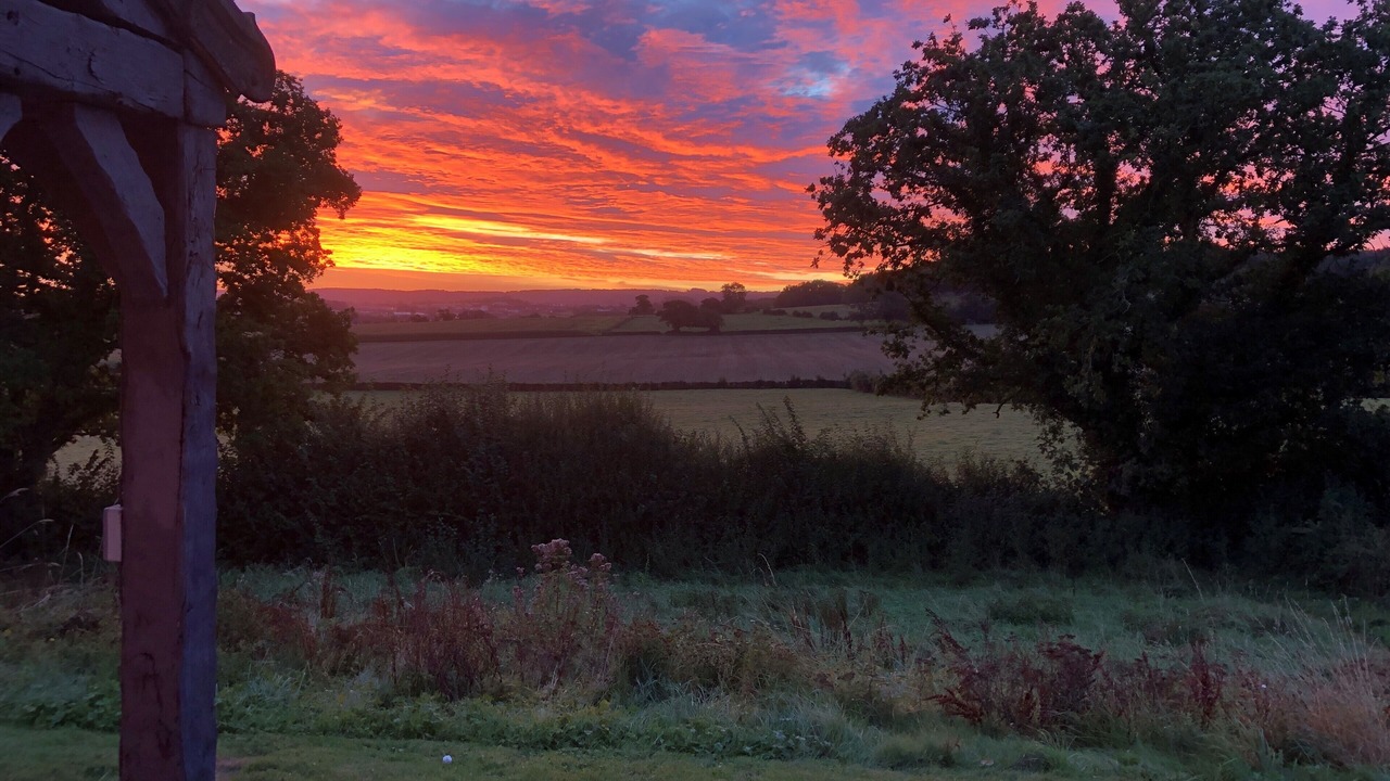 Photo of Outdoor in Carly