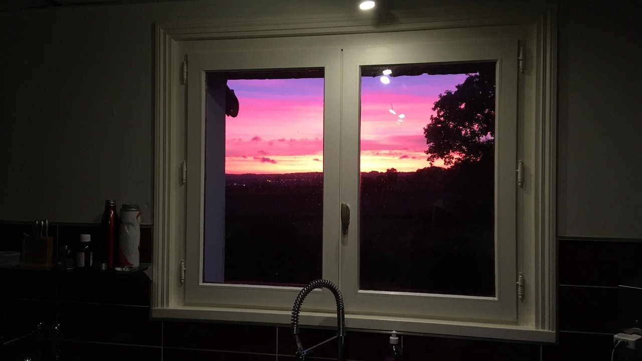 Photo of Others in Carly