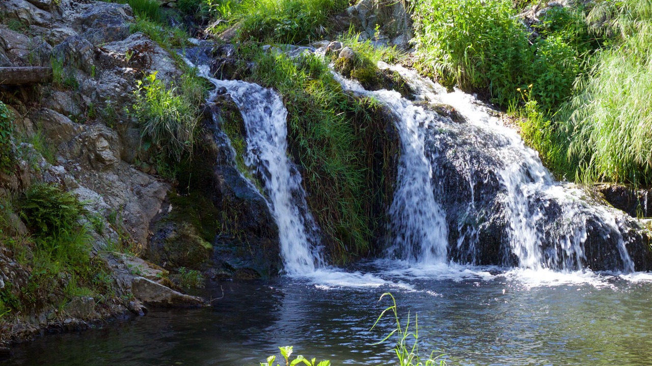 Photo of Others in Fosse