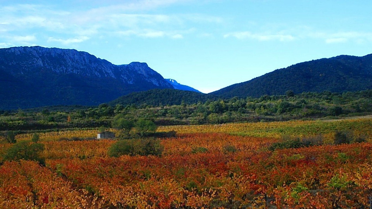 Photo of Others in Fosse