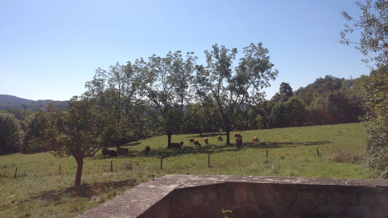 Photo of Outdoor in Saint-Michel-de-Bannieres