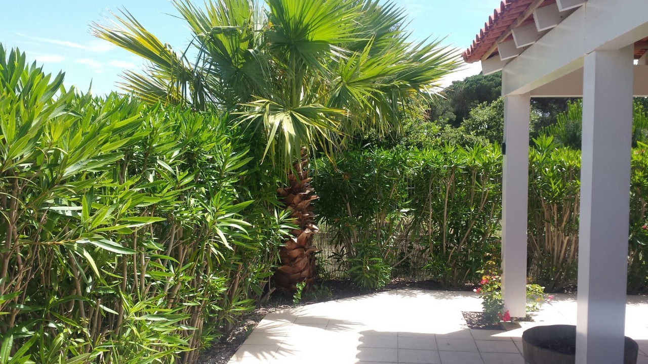 Photo of Outdoor in Portiragnes-Plage