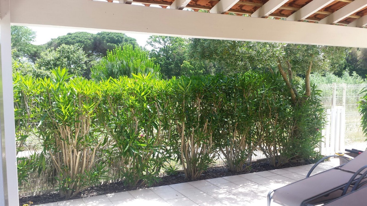 Photo of Outdoor in Portiragnes-Plage