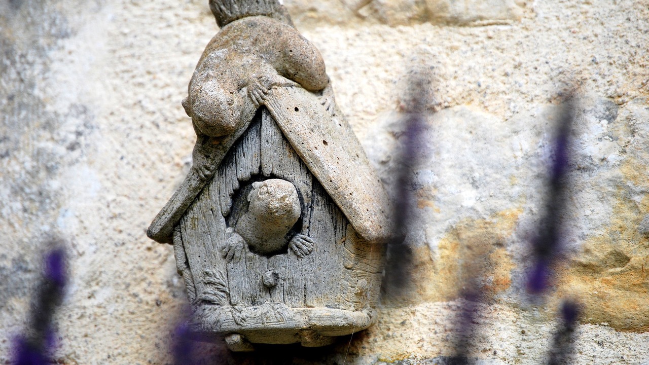 Photo of Outdoor in Bernac