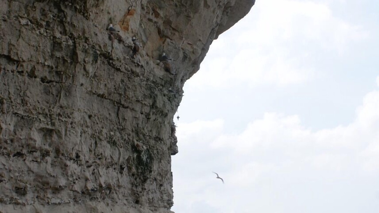 Photo of Others in Lild Strand