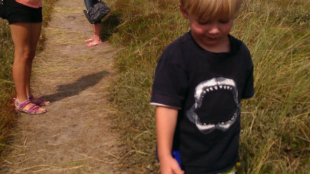 Photo of Others in Lild Strand