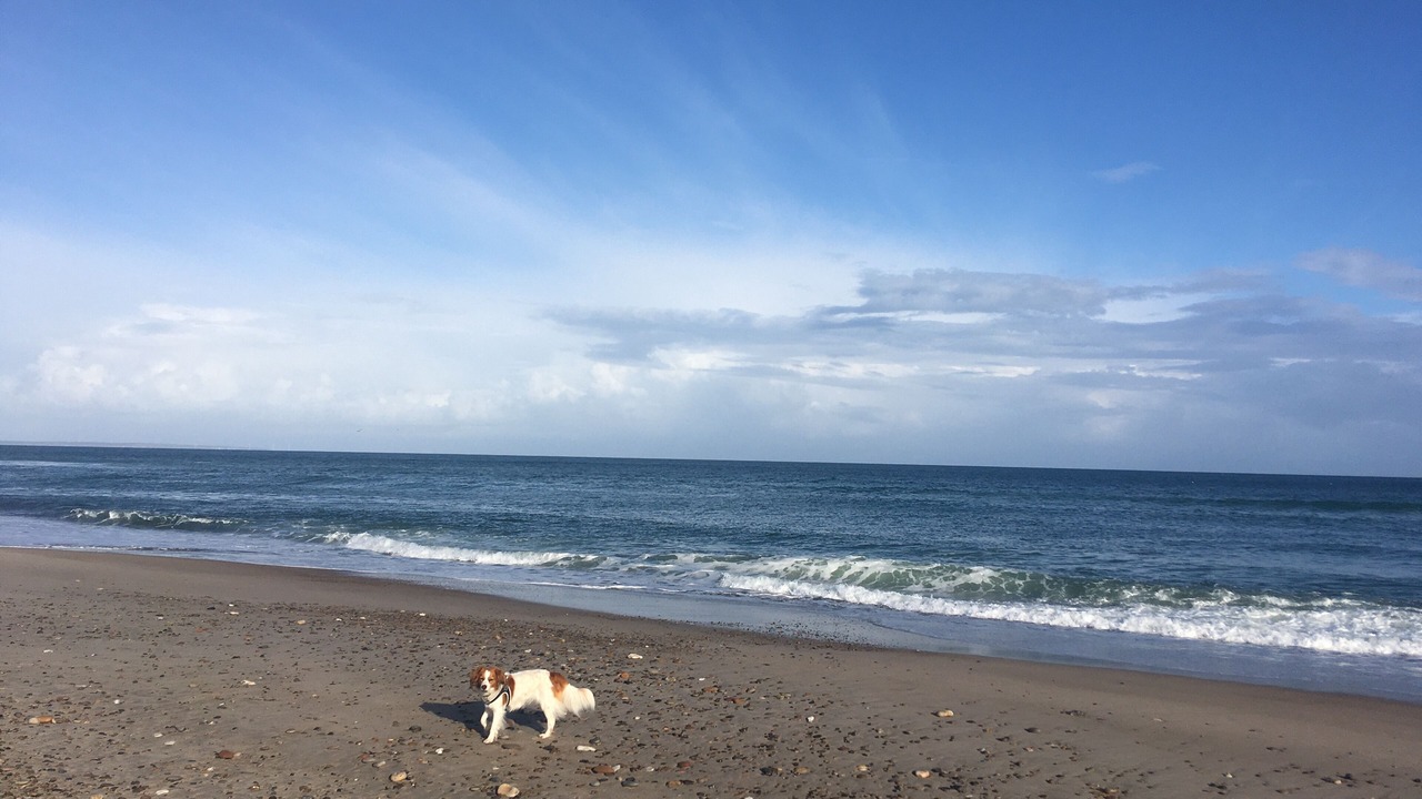 Photo of Others in Lild Strand