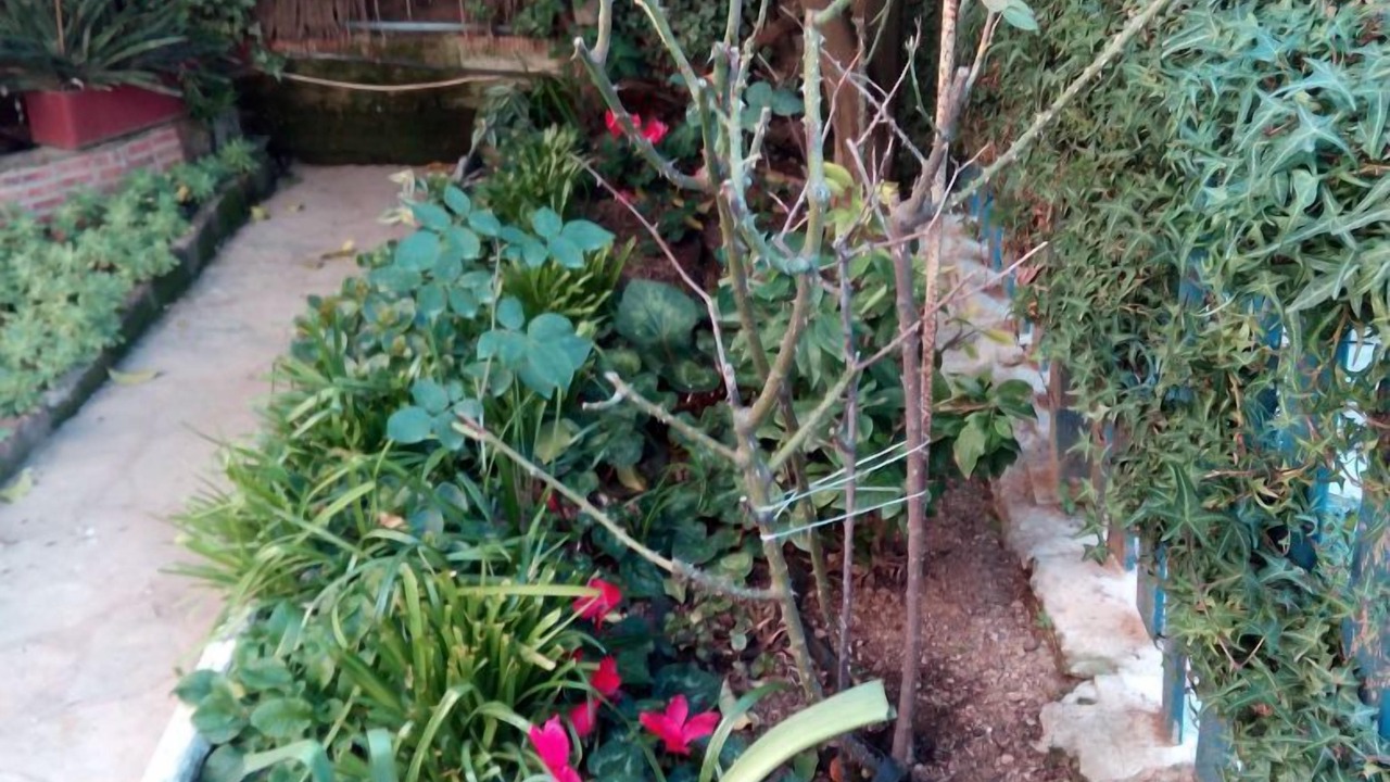 Photo of Outdoor in Sarria-Sant Gervasi