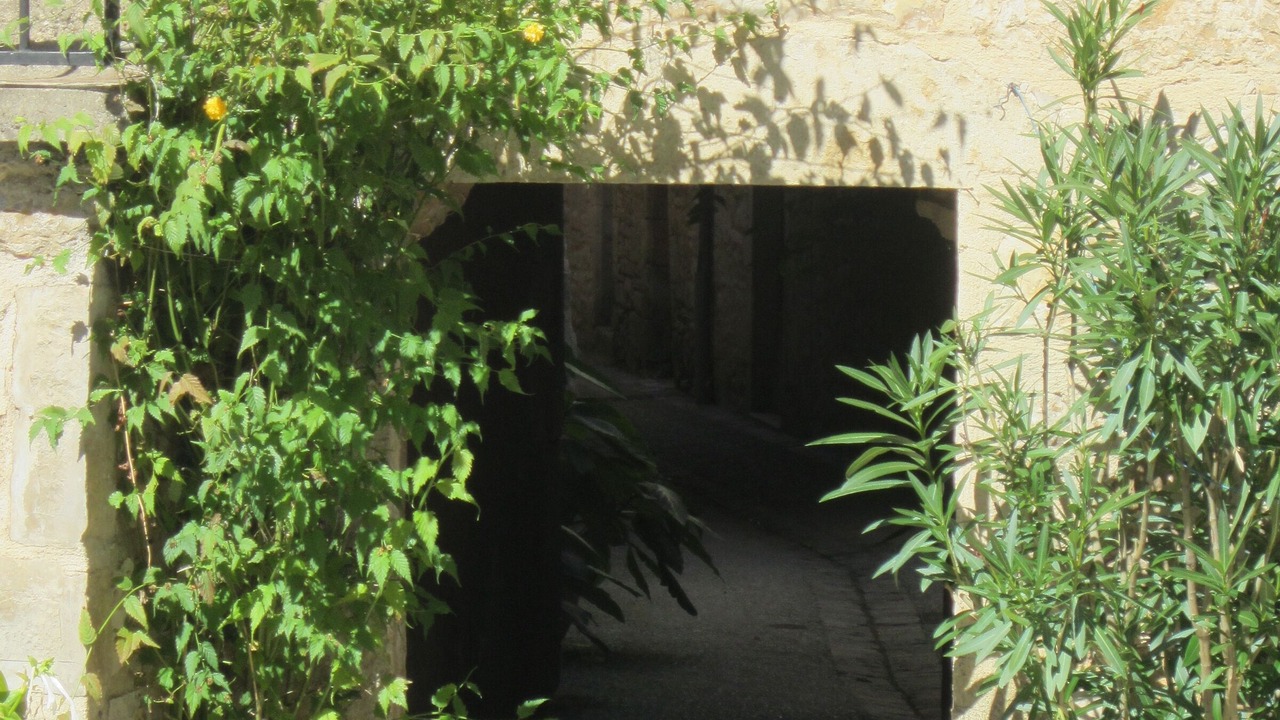 Photo of Others in Naussac