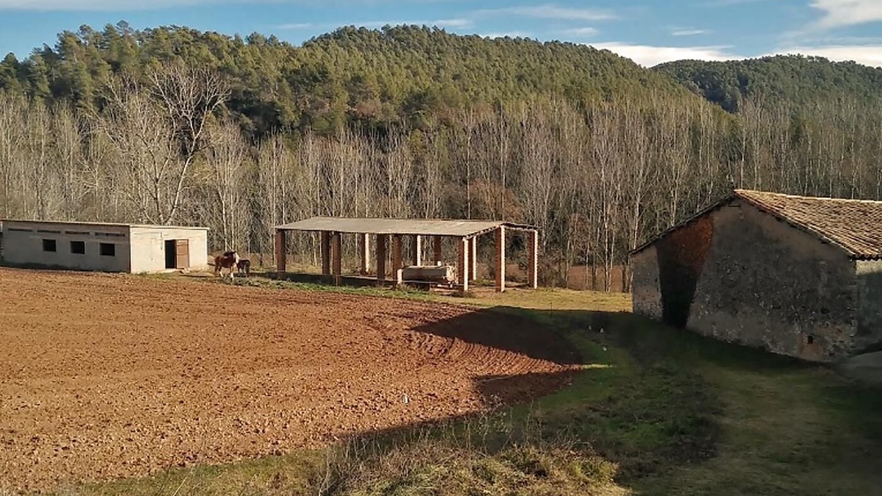 Photo of Outdoor in Avinyo
