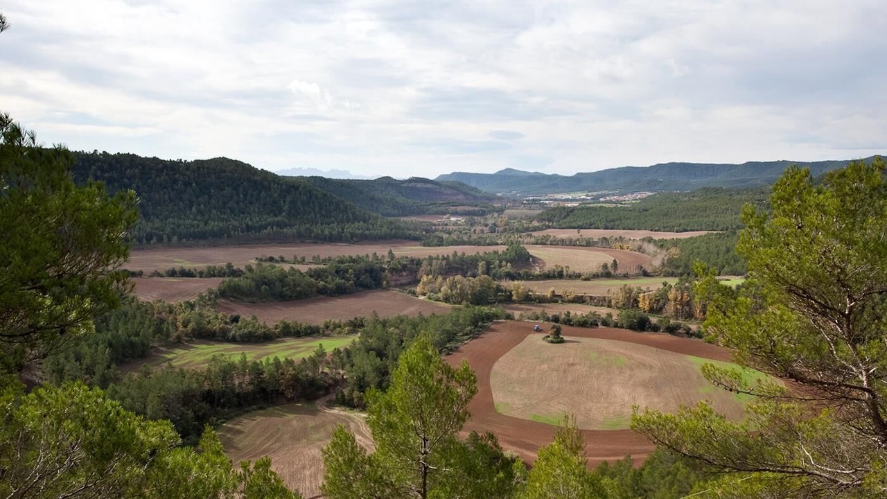 Photo of Outdoor in Avinyo