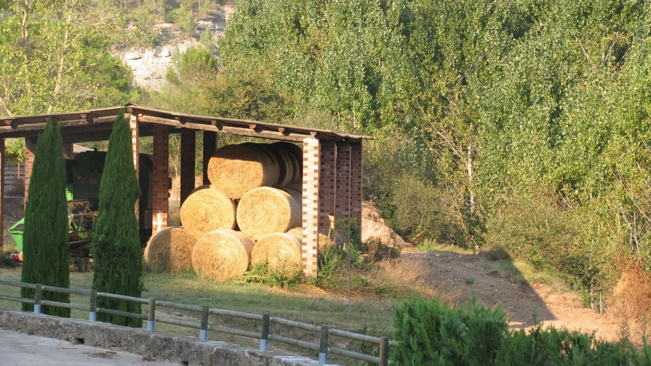 Photo of Outdoor in Avinyo