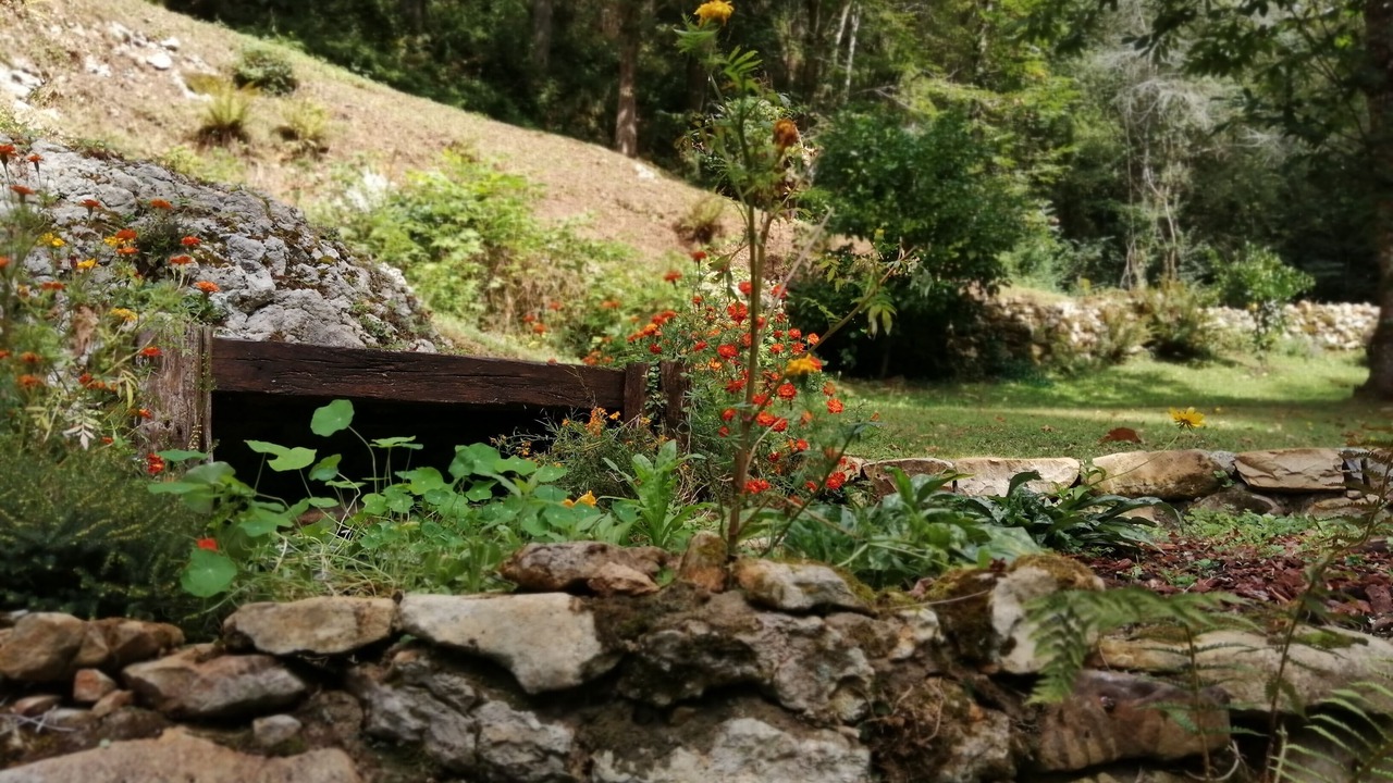 Photo of Outdoor in San Juan de Parres