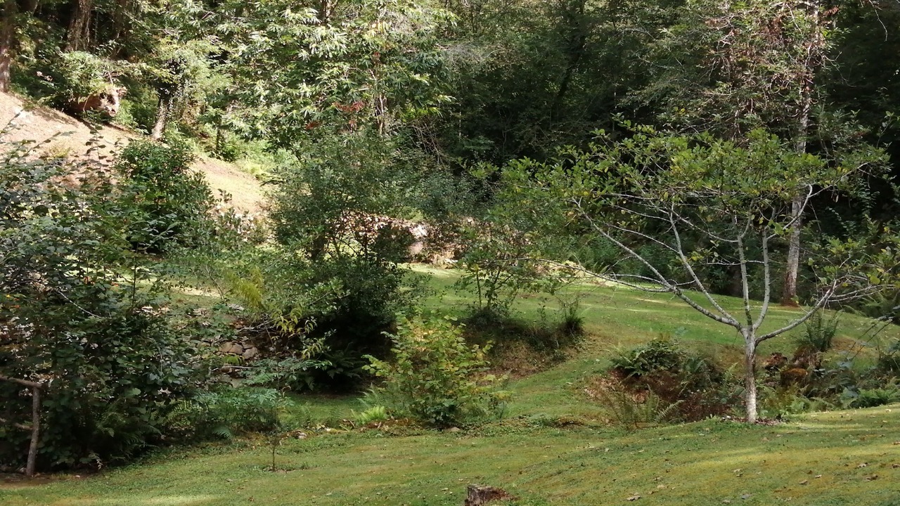 Photo of Outdoor in San Juan de Parres
