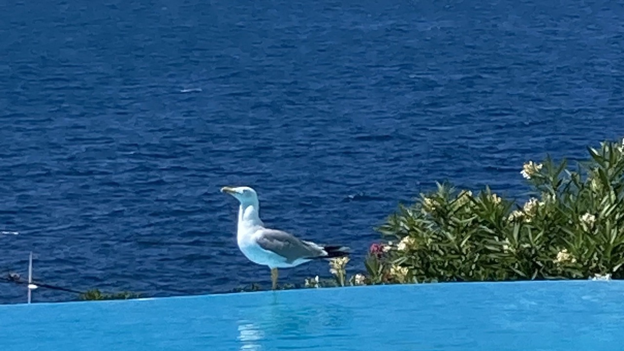 Photo of Outdoor in Le Pradet